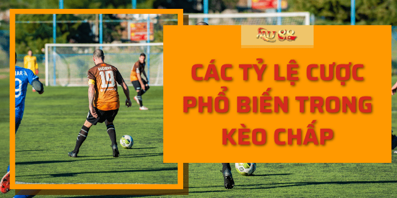 Các tỷ lệ cược phổ biến trong kèo chấp MU88