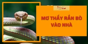 Mơ thấy rắn bò vào nhà